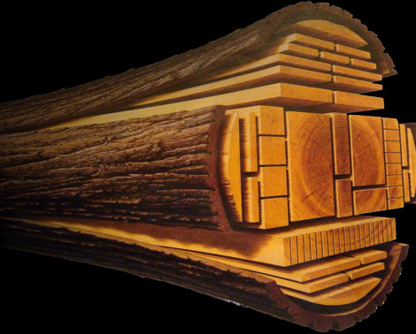 ما هي أنواع الأخشاب؟